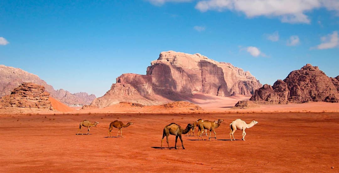 Northern Ethiopia category